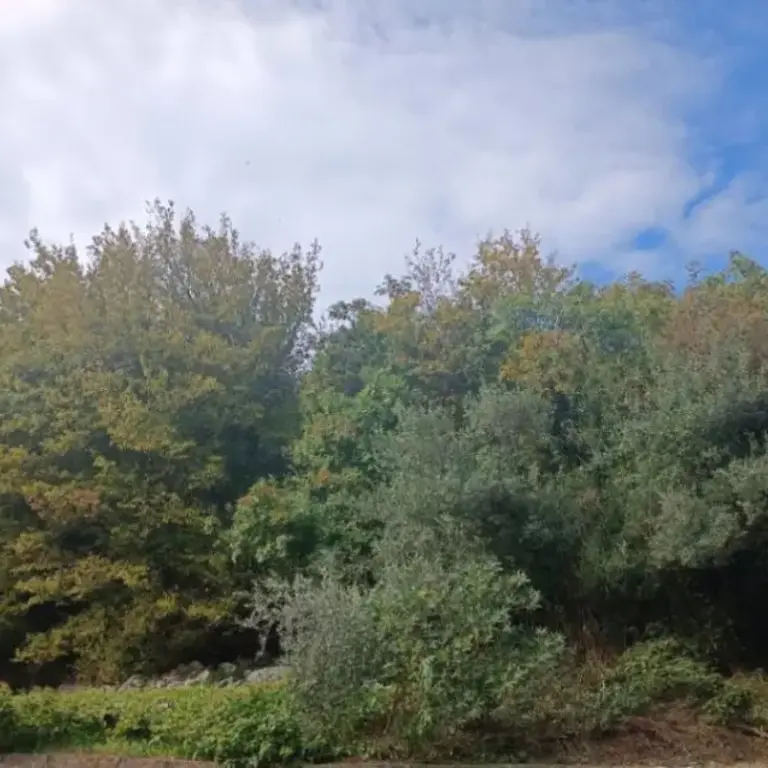 Zemljiste zauzima ukupnu povrsinu od 6750m2