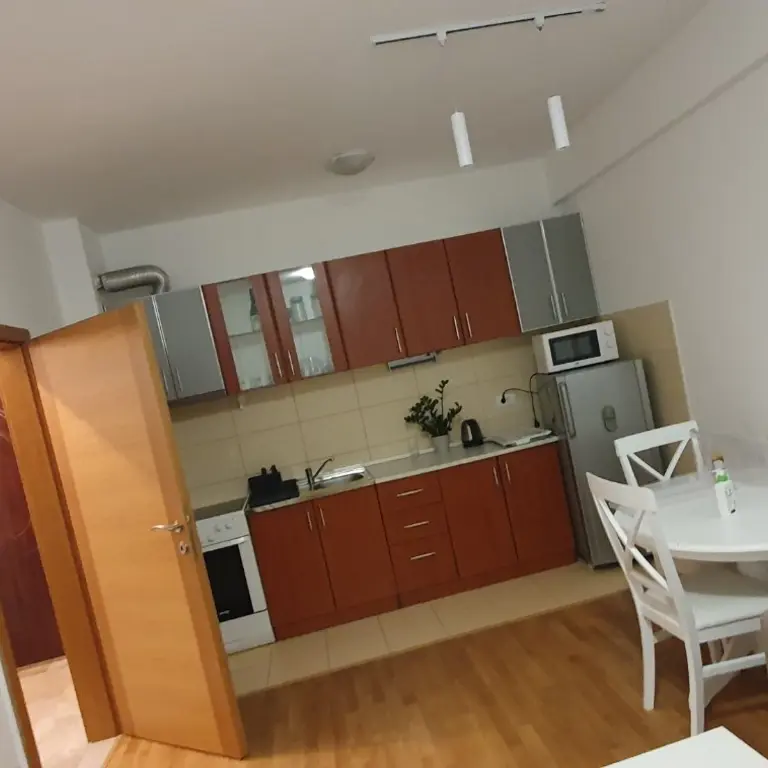 Dio dnevnog boravka sa kuhinjom i trpezarijom