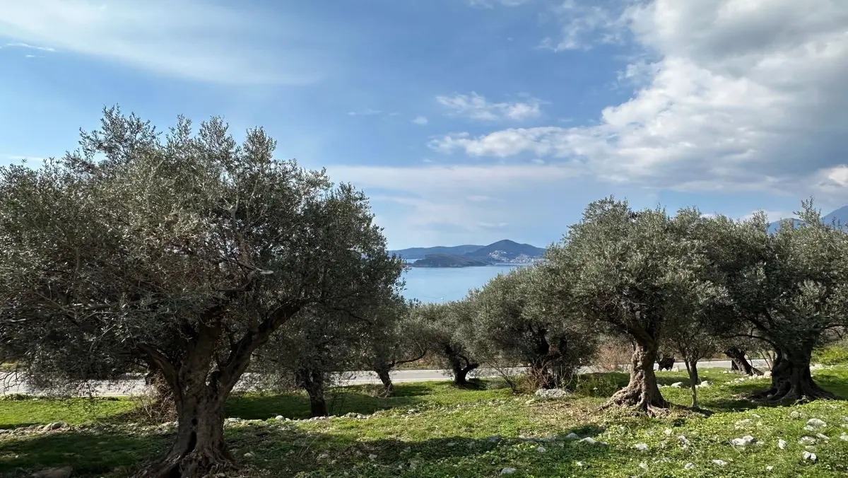 Zemljiste je ravno i zauzima povrsinu od 1059m2