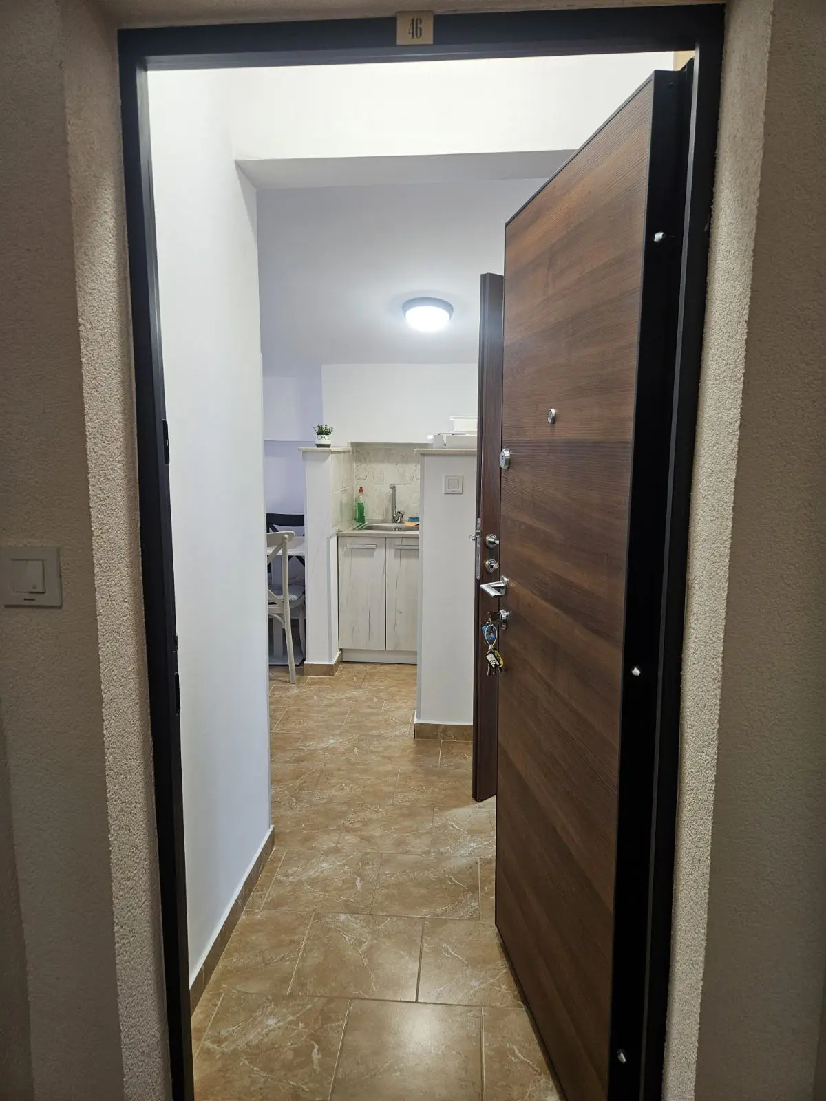 Hodnik i ulaz  u stan